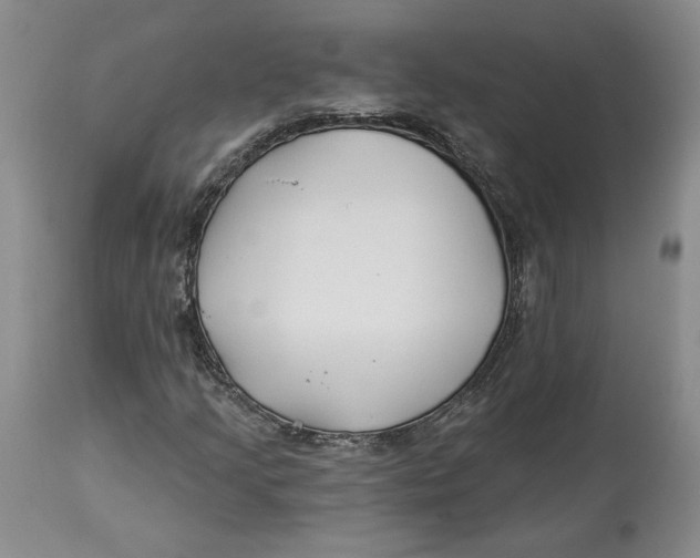 X0000114021205200910231829