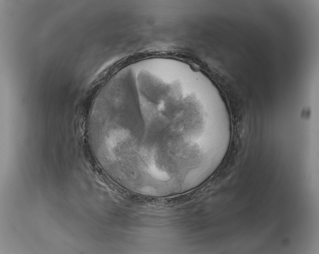 X0000114021206200910231829