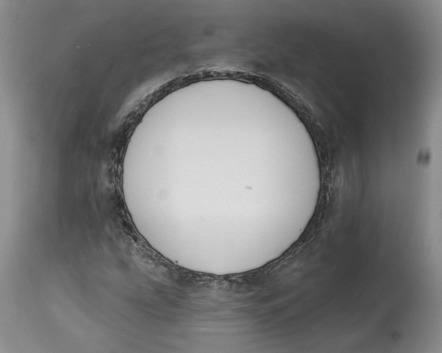 X0000114021207200910231829