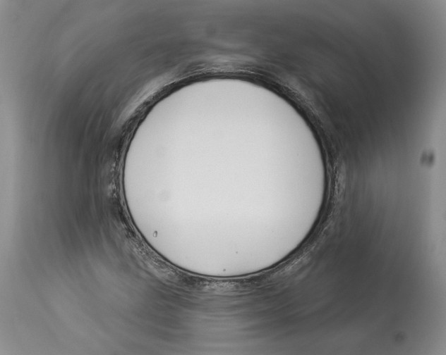 X0000114021211200910231829