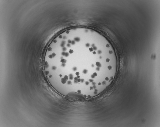 X0000114021212200910231829