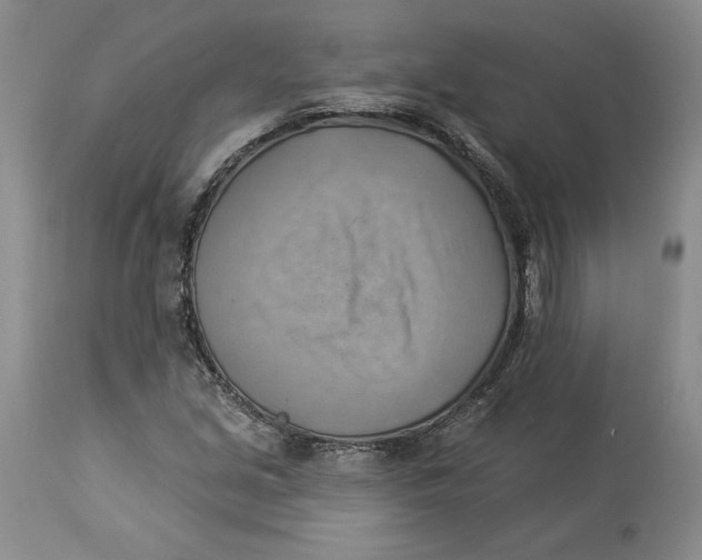 X0000114021213200910231829