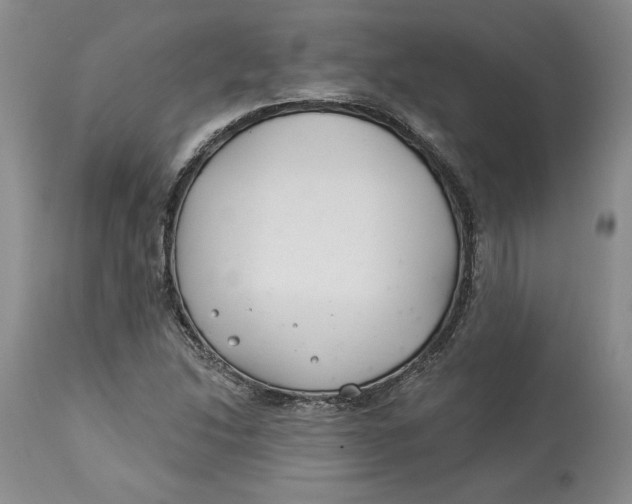 X0000114021214200910231829