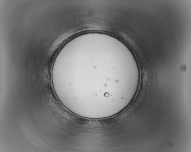 X0000114021215200910231829