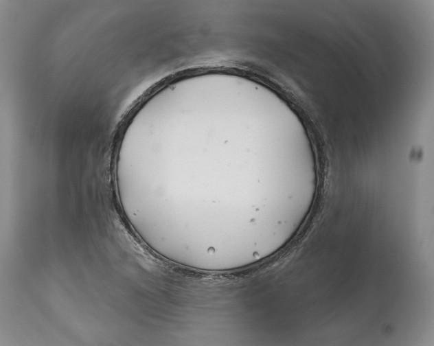 X0000114021216200910231829