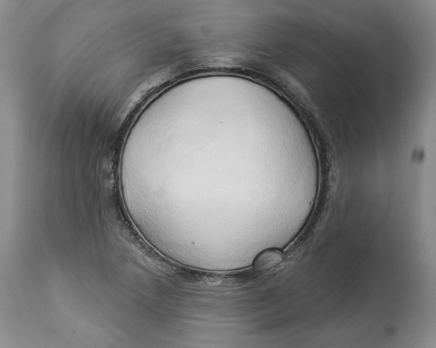 X0000114021218200910231829