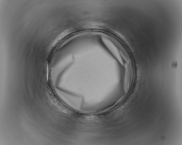 X0000114021219200910231829