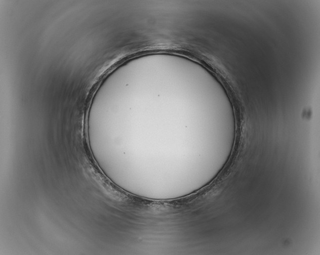 X0000114021220200910231829