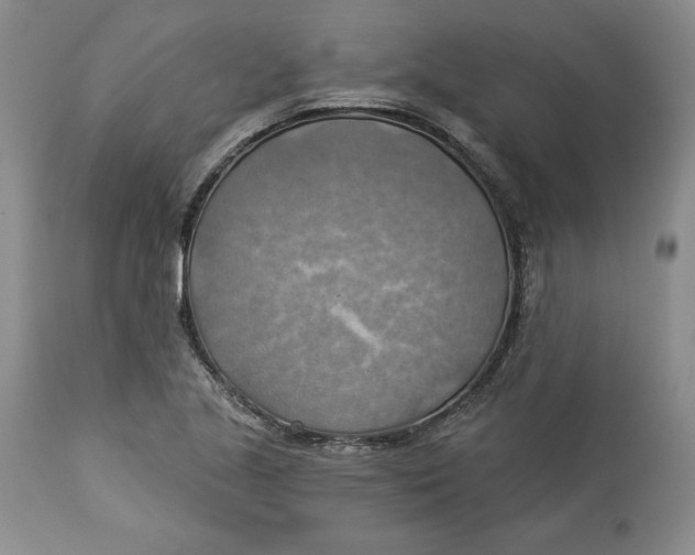 X0000114021221200910231829