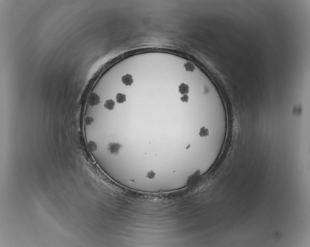 X0000114021222200910231829