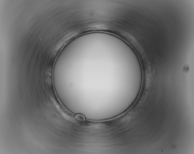 X0000114021225200910231829