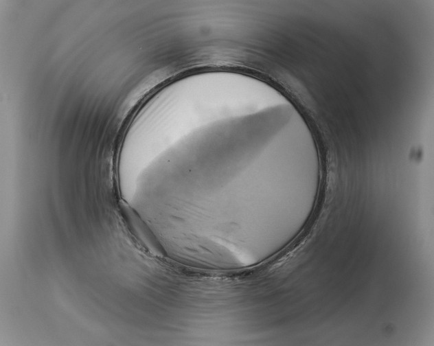 X0000114021226200910231829