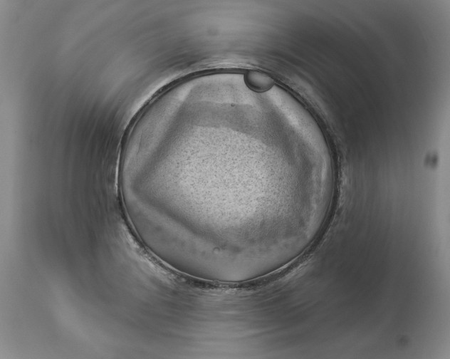 X0000114021228200910231829