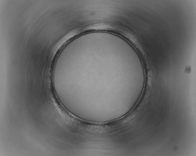 X0000114021229200910231829