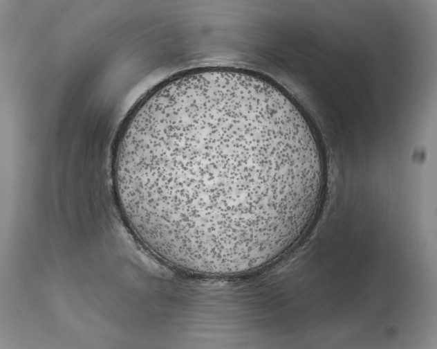 X0000114021230200910231830