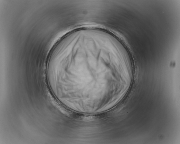 X0000114021231200910231830