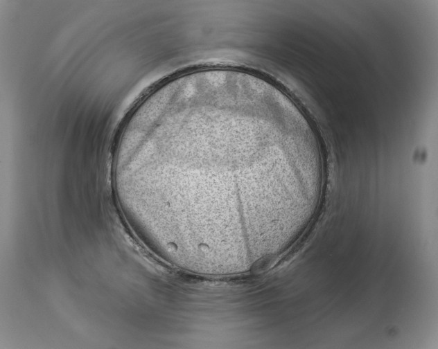 X0000114021232200910231830