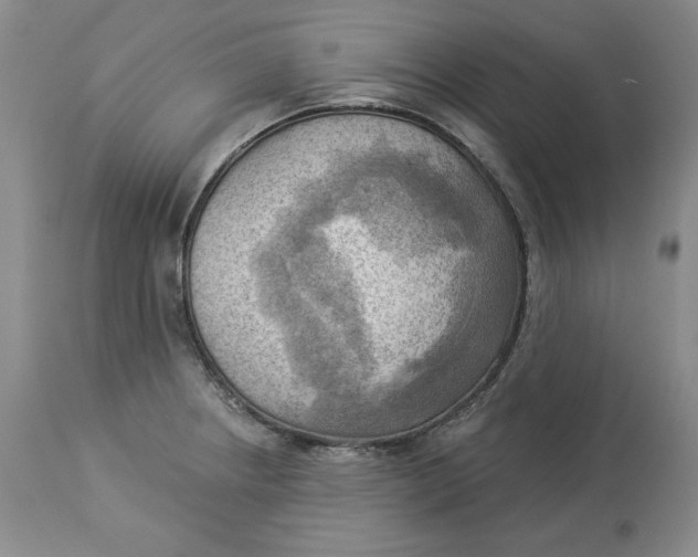 X0000114021234200910231830