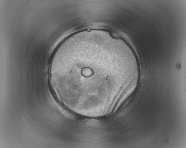 X0000114021235200910231830