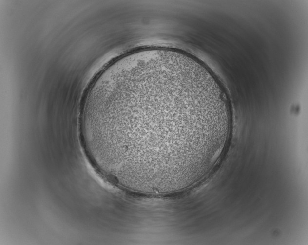 X0000114021237200910231830