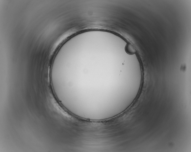 X0000114021238200910231830