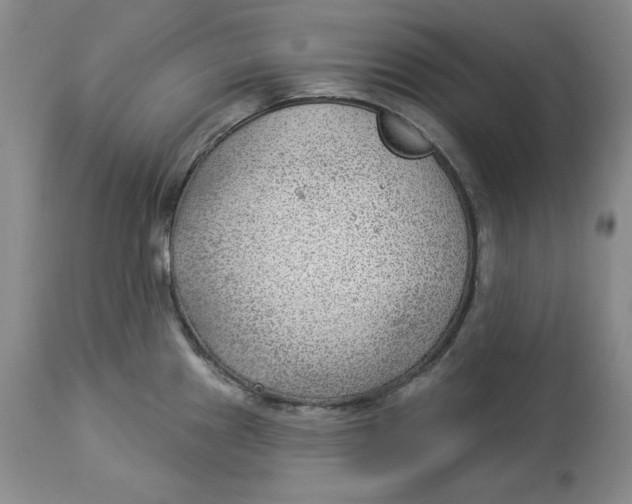 X0000114021241200910231830