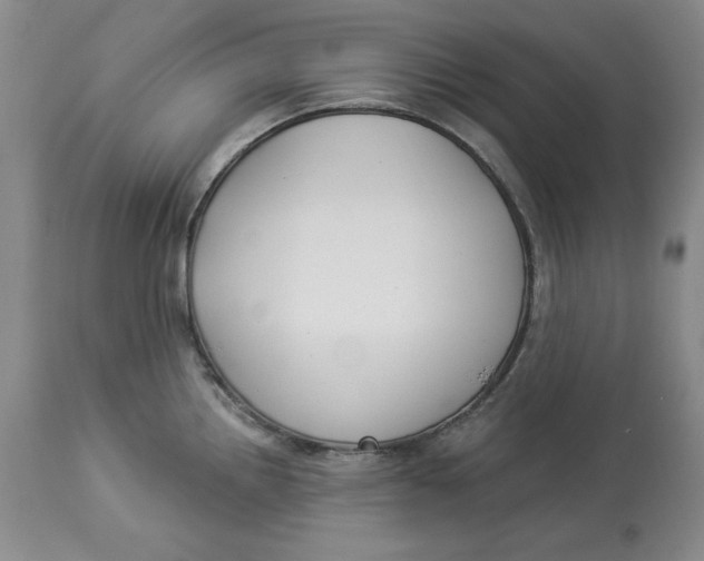 X0000114021242200910231830