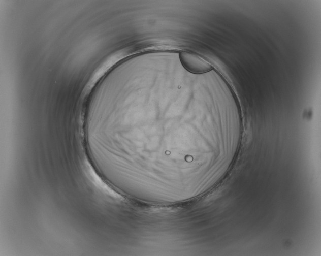 X0000114021243200910231830