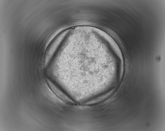 X0000114021244200910231830