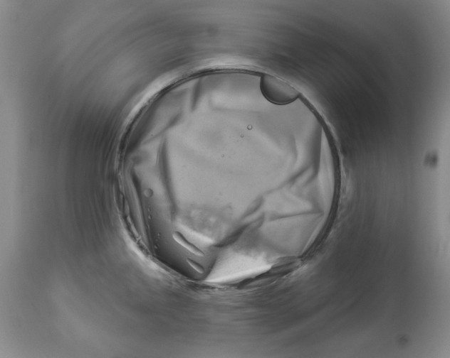 X0000114021245200910231830