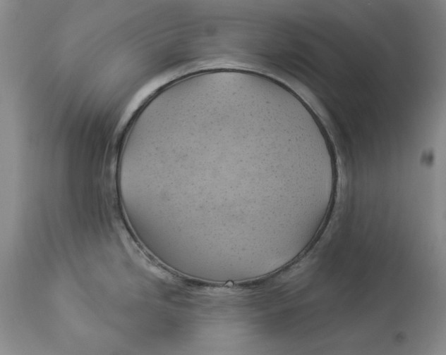 X0000114021246200910231830