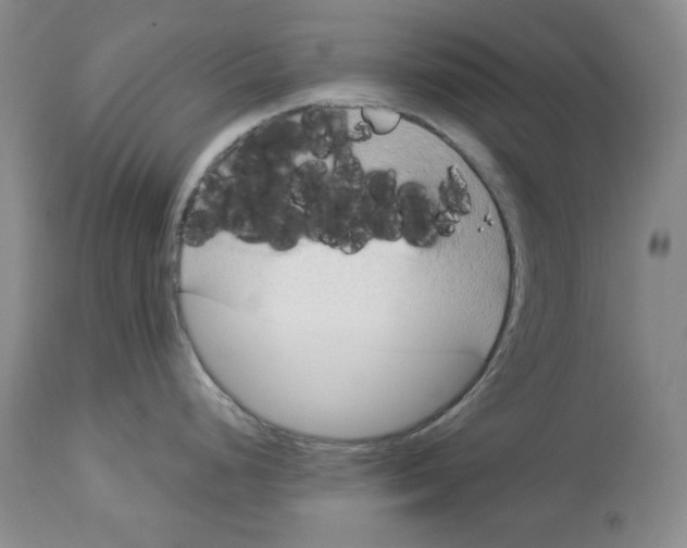 X0000114021248200910231830