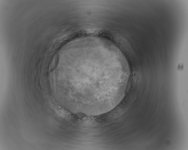 X0000114021249200910231829