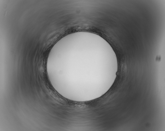 X0000114021250200910231829