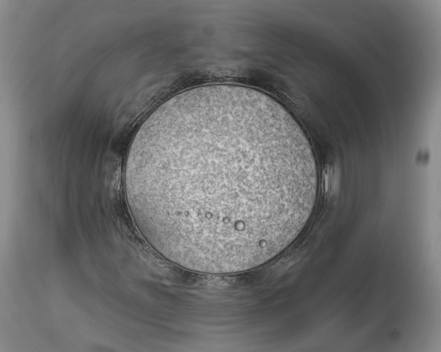 X0000114021251200910231829