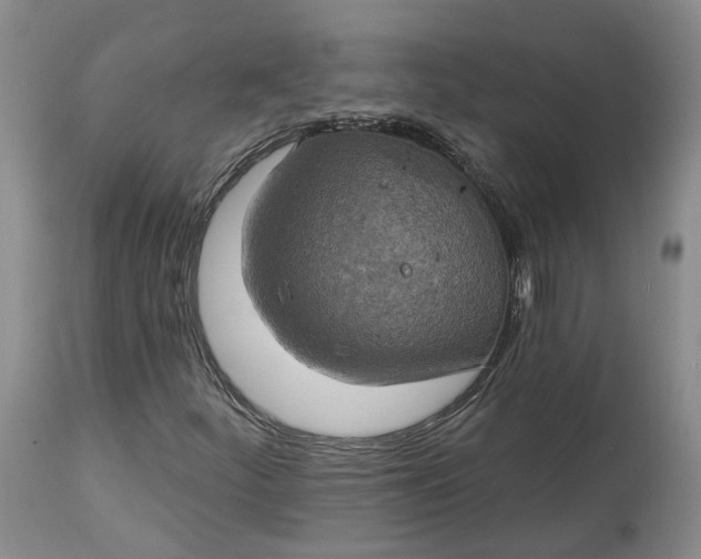 X0000114021252200910231829