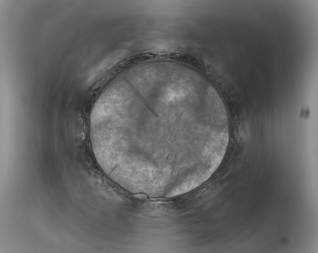 X0000114021253200910231829