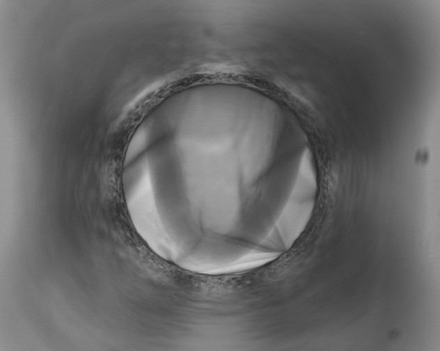 X0000114021254200910231829