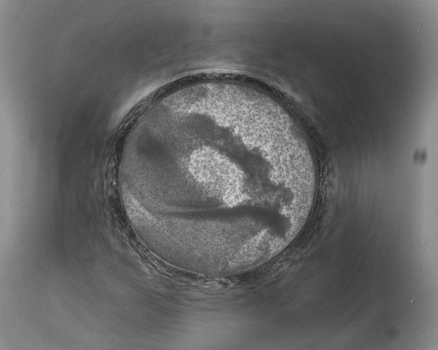 X0000114021255200910231829