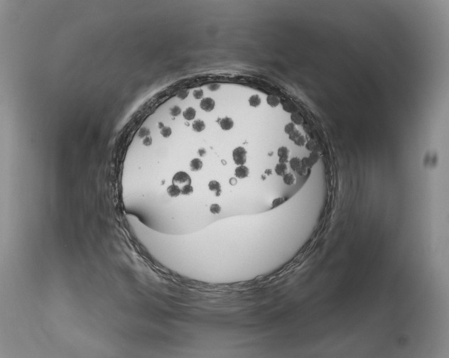 X0000114021256200910231829