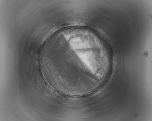 X0000114021257200910231829