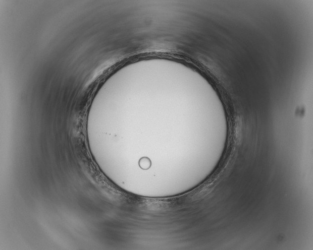 X0000114021258200910231829