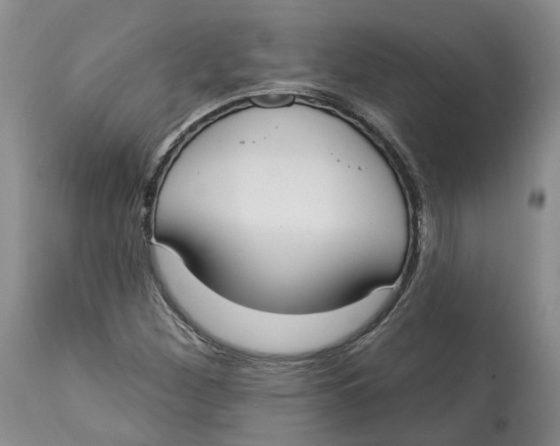 X0000114021260200910231829