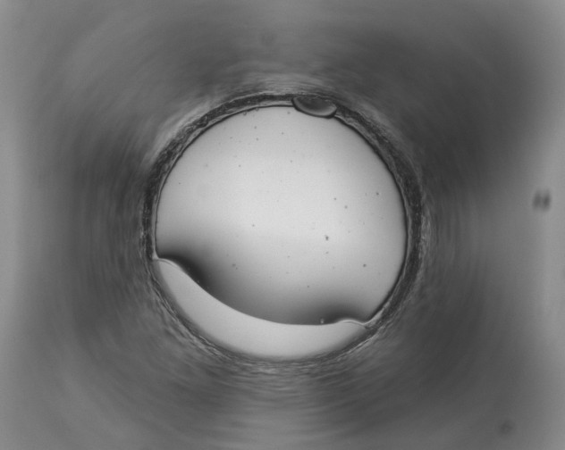 X0000114021261200910231829