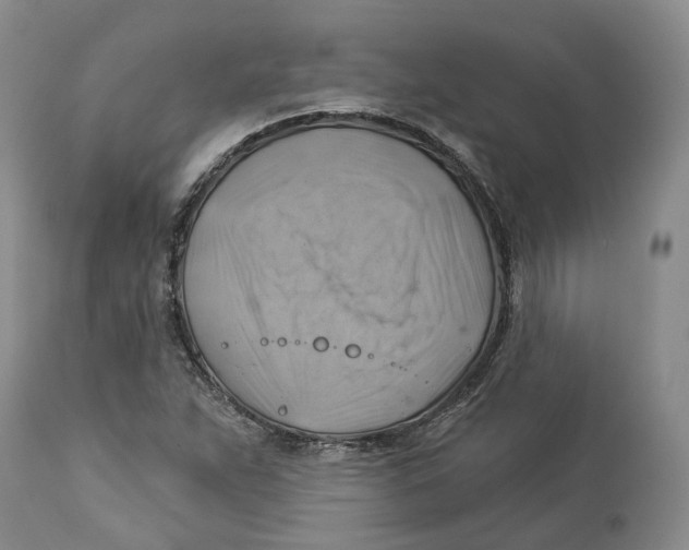 X0000114021263200910231829