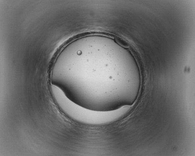 X0000114021264200910231829