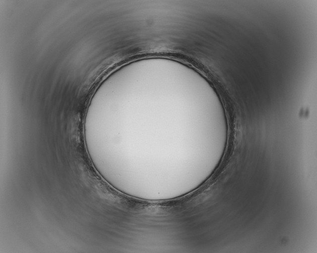 X0000114021265200910231829