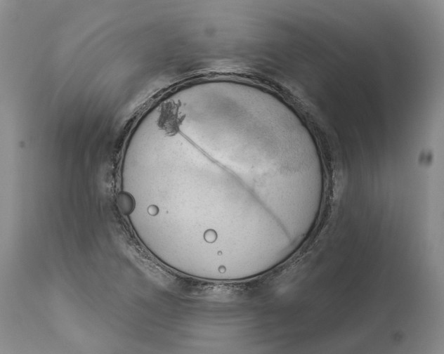 X0000114021266200910231829