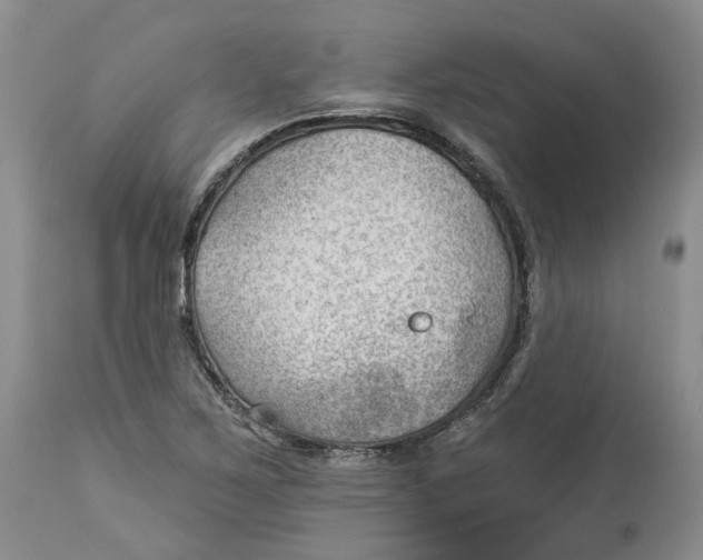 X0000114021267200910231829