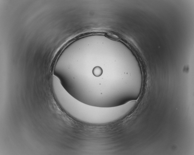 X0000114021268200910231829